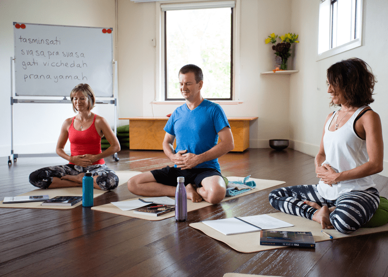 Yoga Sutra Studies with Michael de Manincor