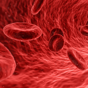 The Amazing Human Body: Blood
